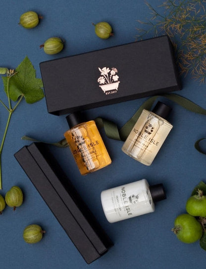 Luxury Shower and Hair Travel Trio